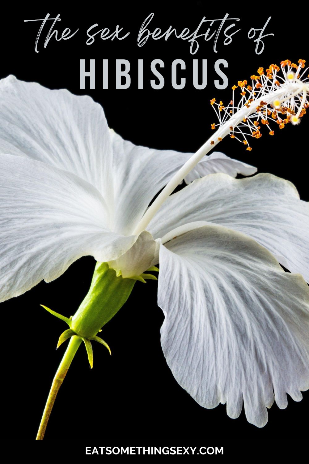hibiscus sex benefits graphic