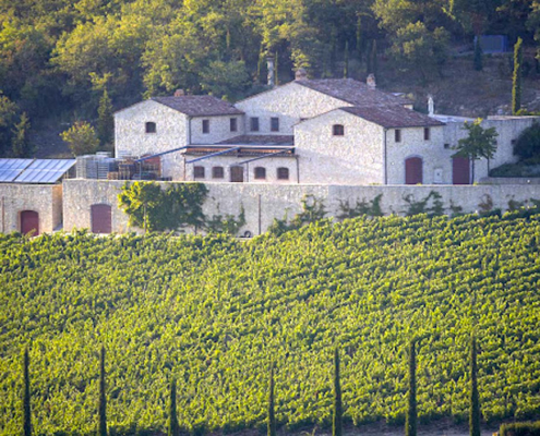 A view of Brancaia Winery from across it's vineyards