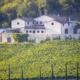 A view of Brancaia Winery from across it's vineyards