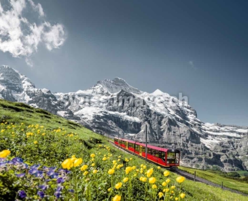 Visit Switzerland From the Comfort of Home 8 Image of a train running through the alps to inspire you to visit Switzerland