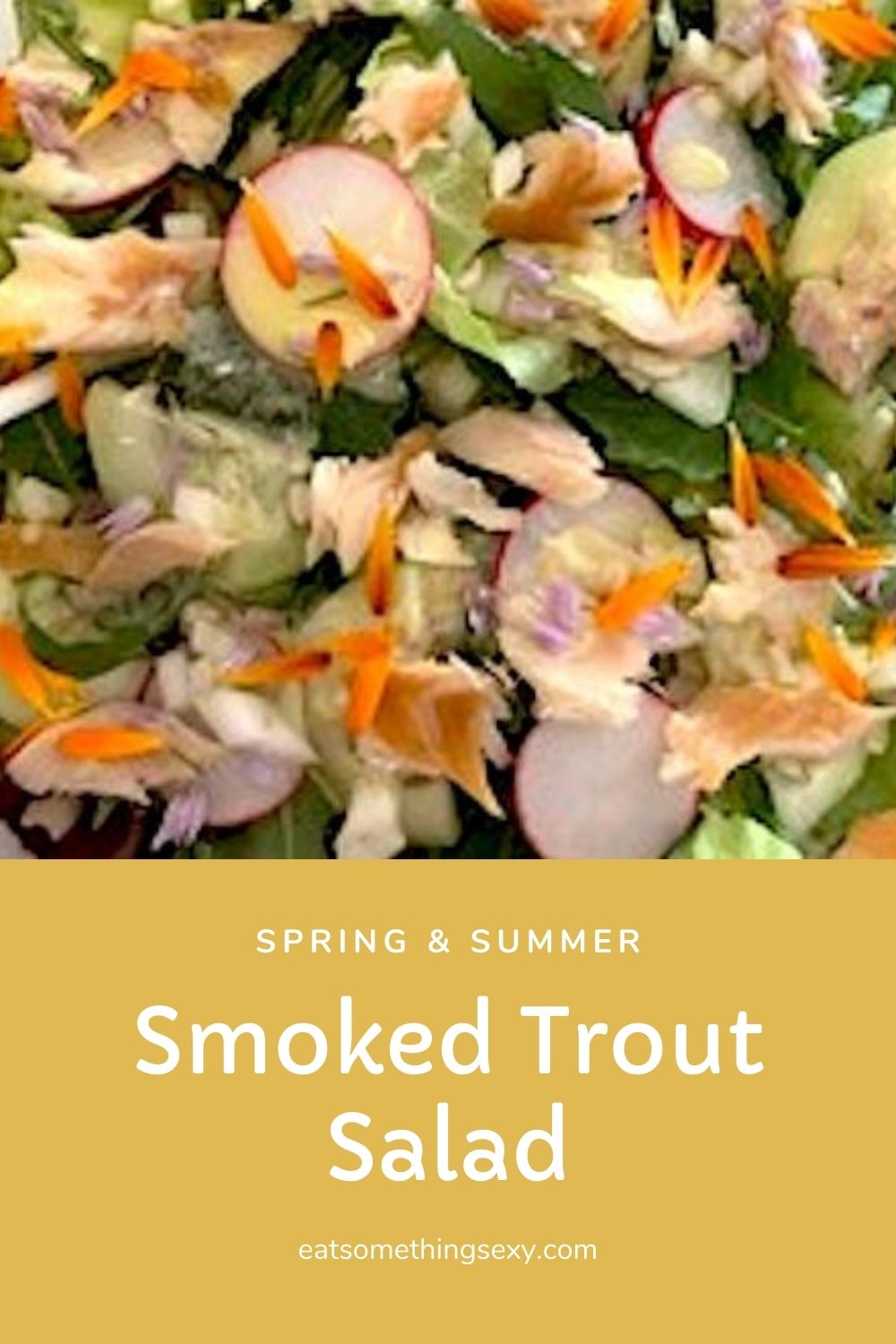 smoked trout salad recipe graphic