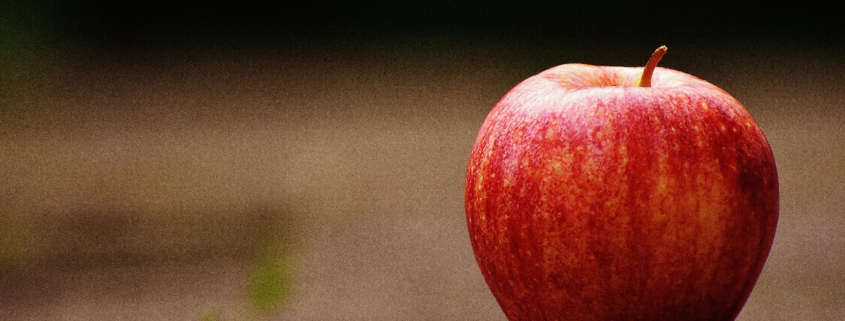 a single red apple