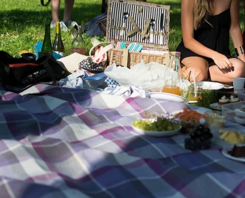 Romantic picnic in a park with wine