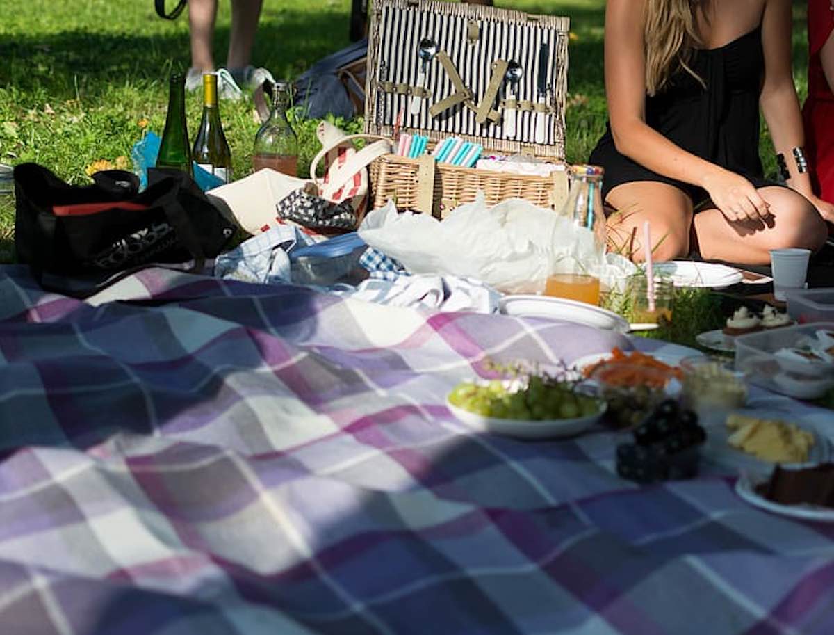 Romantic picnic in a park with wine