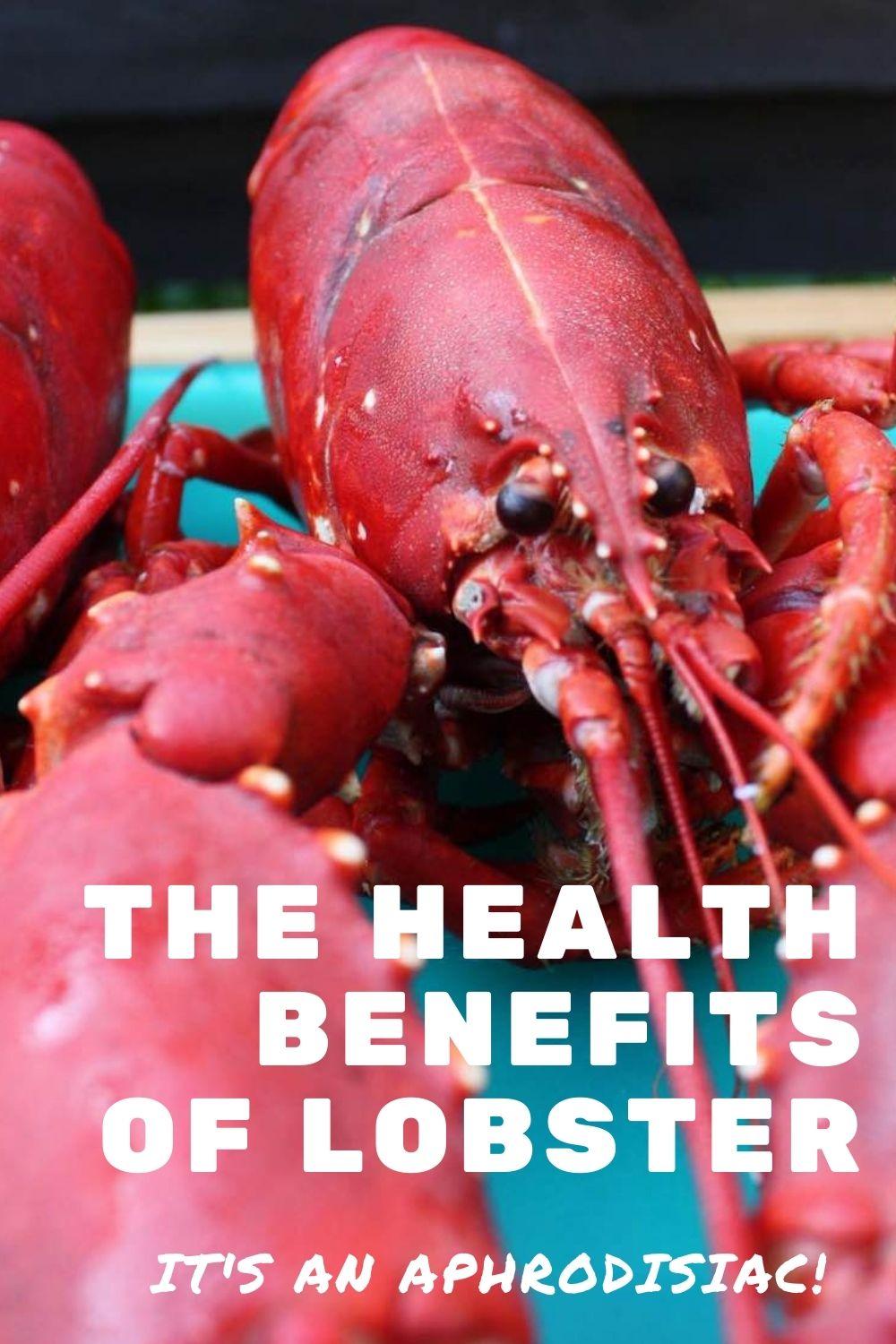 Is lobster an aphrodisiac health benefits graphic