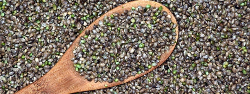 wooden spoon in a pile of whole hemp seeds