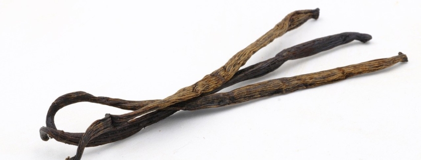 Close up of a stack of vanilla beans on a white background