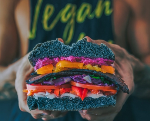 a pair of hands holding a colorful vegan sandwich