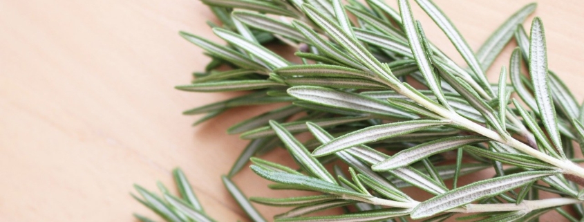 Rosemary Benefits and Aphrodisiac Use 1 A sprig of rosemary