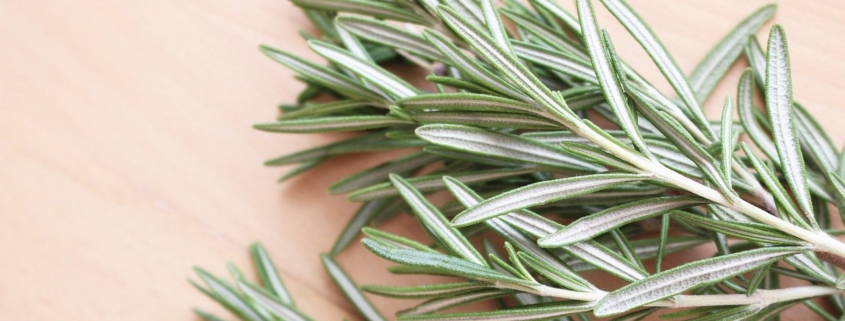 A sprig of rosemary