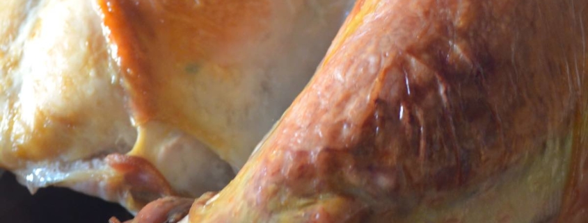 closeup of a whole, roast turkey