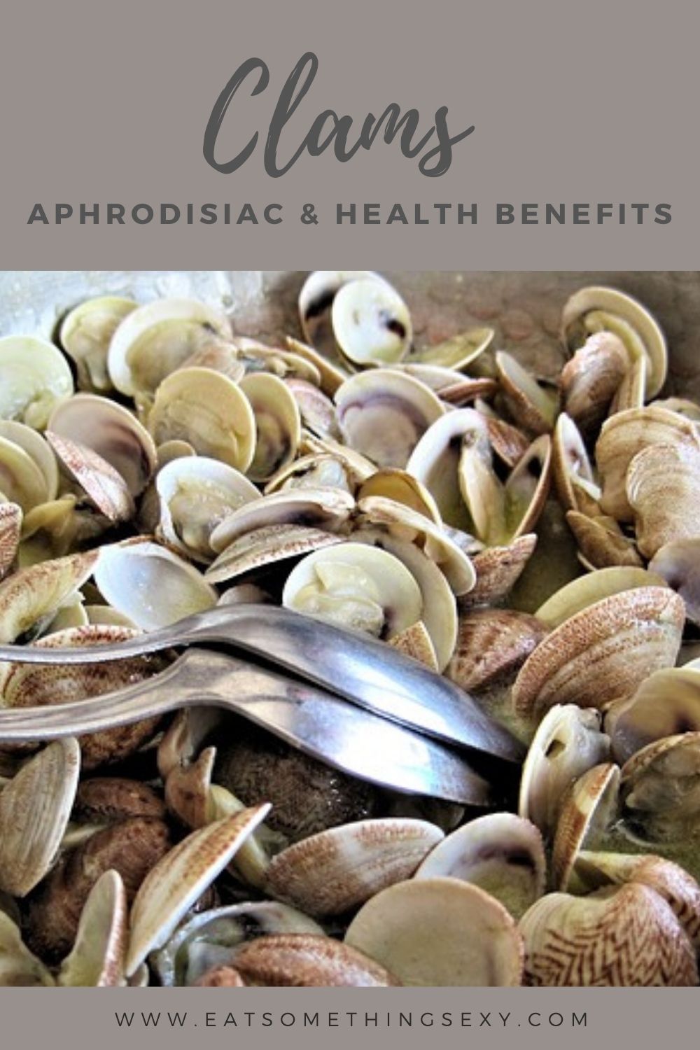 clams aphrodisiac & health benefits