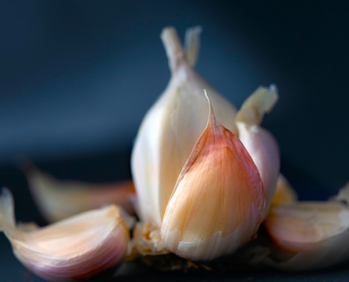 closeup of garlic on a dark blue background