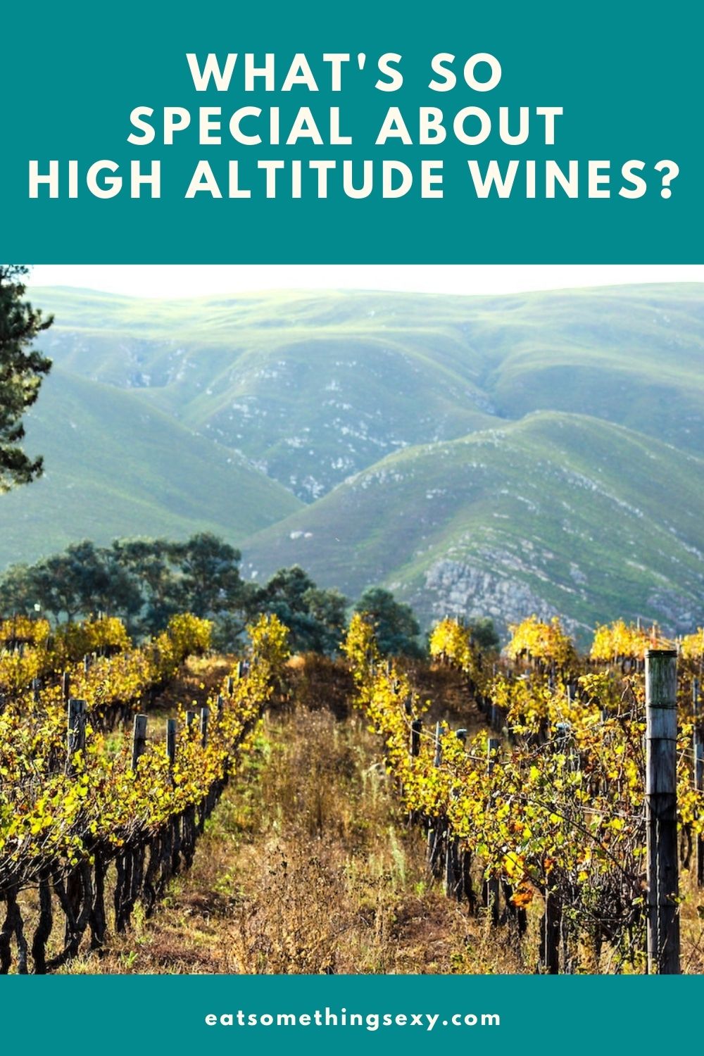 high altitude wines graphic