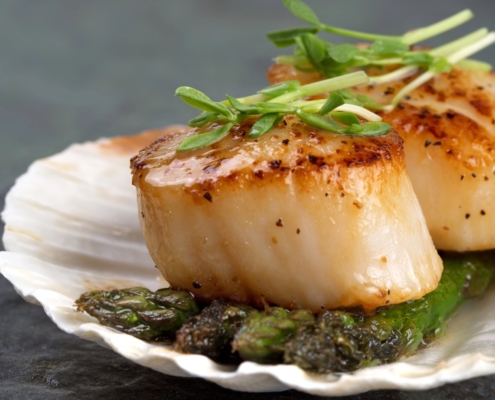 a scallop shell holding two seared scallops on a bed of pesto, topped with sprouts