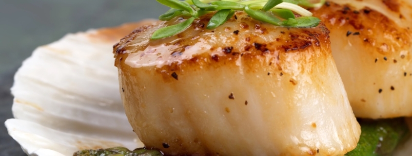 Scallops Benefits for Women: Why This Seafood Is a Top Food for Health and Desire 1 a scallop shell holding two seared scallops on a bed of pesto, topped with sprouts