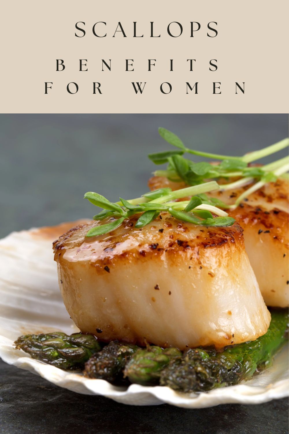 Scallops Benefits for Women: Why This Seafood Is a Top Food for Health and Desire 4 scallops benefits for women graphic with two seared scallops on a scallop shell