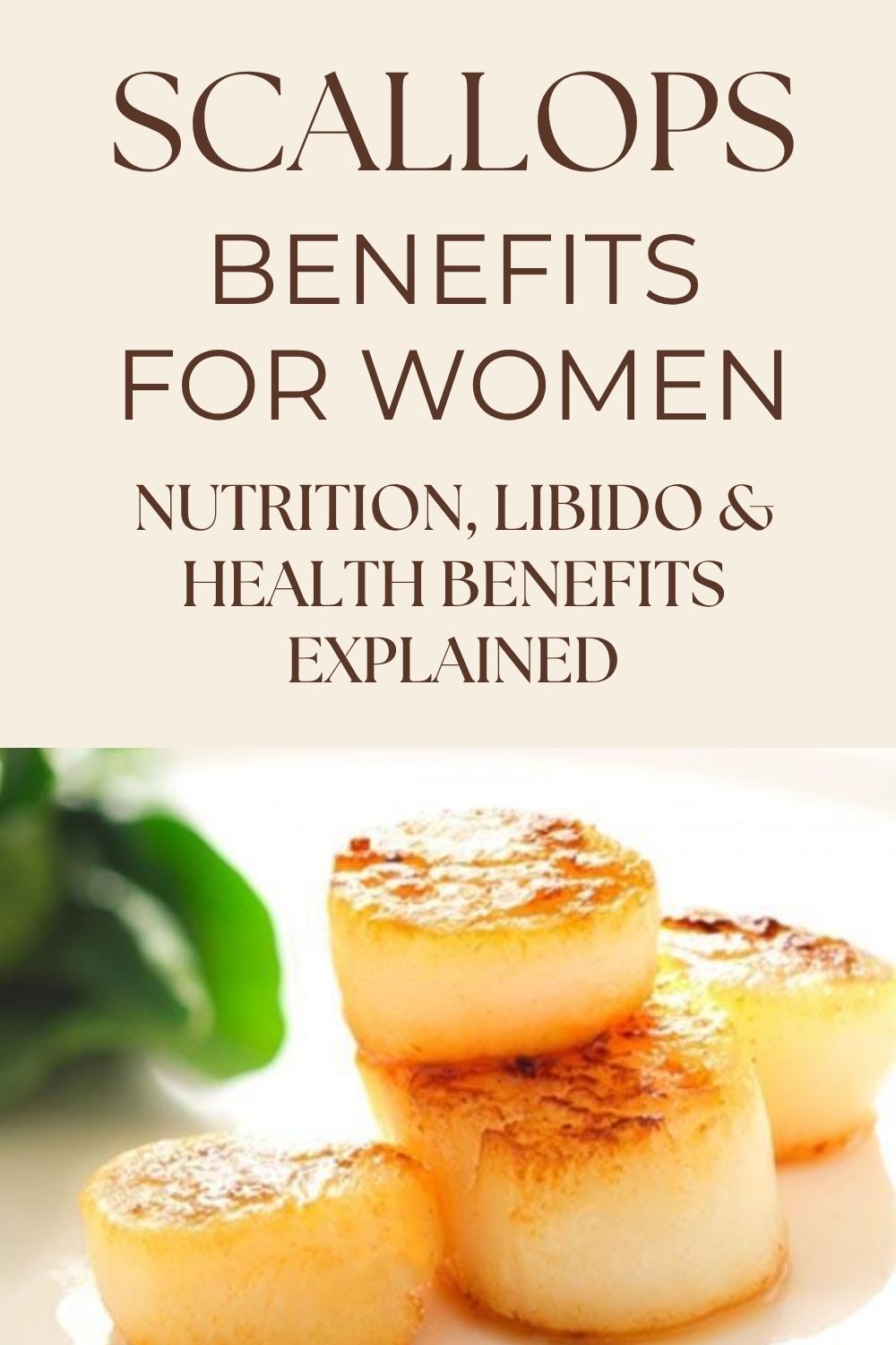 Why Scallops Are One of the Best Foods for Women 4 scallops graphic with the text, "scallops benefits for women Nutrition, libido and health benefits explained" and a closeup of pan seared scallops on a pale background with a sprig of basil