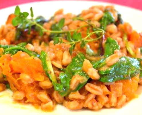 butternut farrotto on a white plate with a red background