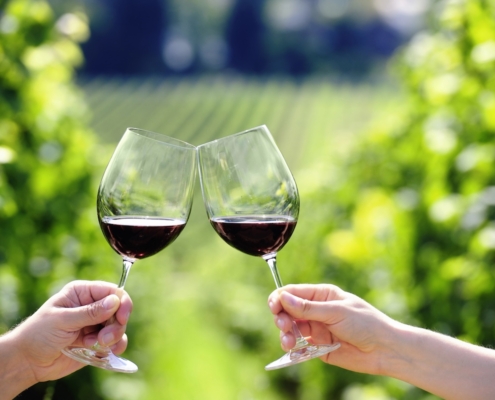 What Is Organic Wine? Does It Really Make a Difference? 1 a man and woman's hands toasting with red wine glasses in a vineyard, the people are not visible