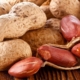 closeup of peanuts in and out of the shell