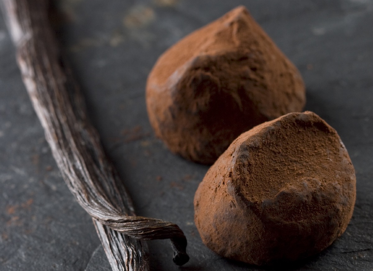 closeup of two hand-rolled dark chocolate truffles dusted with cocoa powder with a whole vanilla bean to the left of the truffles