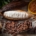 Closeup of cacao in many forms including an open pod of fresh, white cacao, the dried version and cacao powder