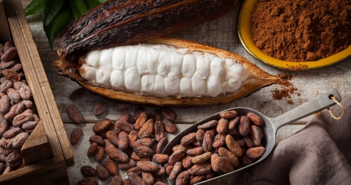 Is Cacao an Aphrodisiac? Discover Cacao Benefits for Male & Female Sexual Health 21 Closeup of cacao in many forms including an open pod of fresh, white cacao, the dried version and cacao powder