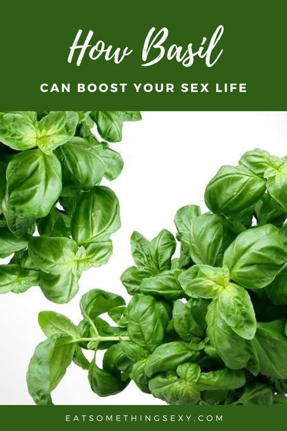"How basil can boost your sex life" graphic with two bunches of basil on a white background