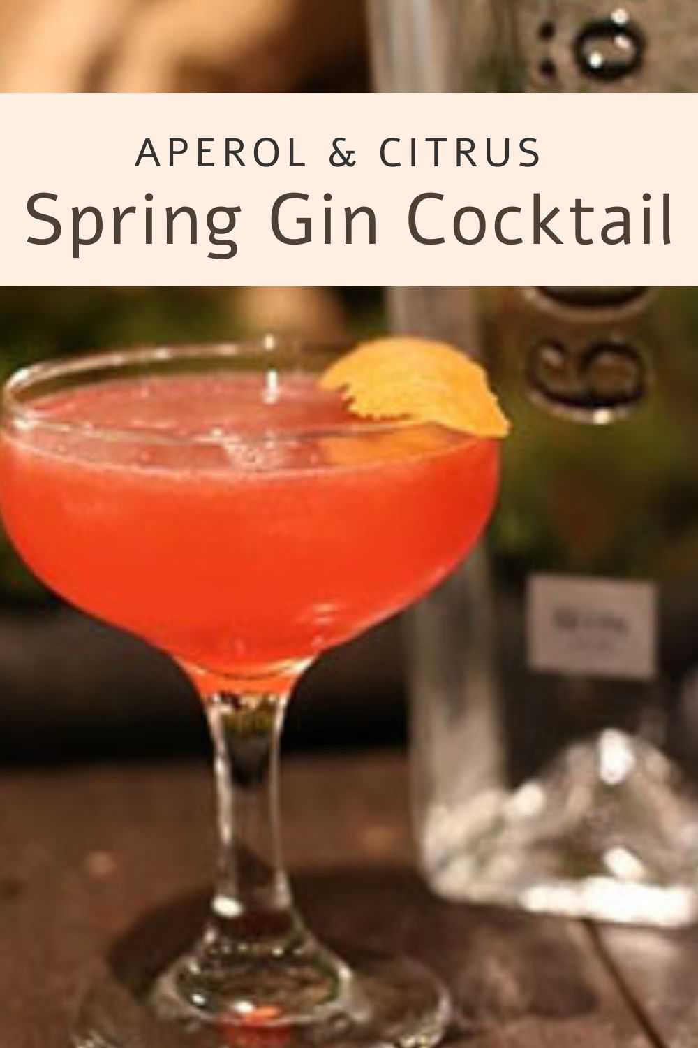 spring gin cocktail graphic with a closeup of the drink and the text, "aperol and citrus spring gin cocktail"