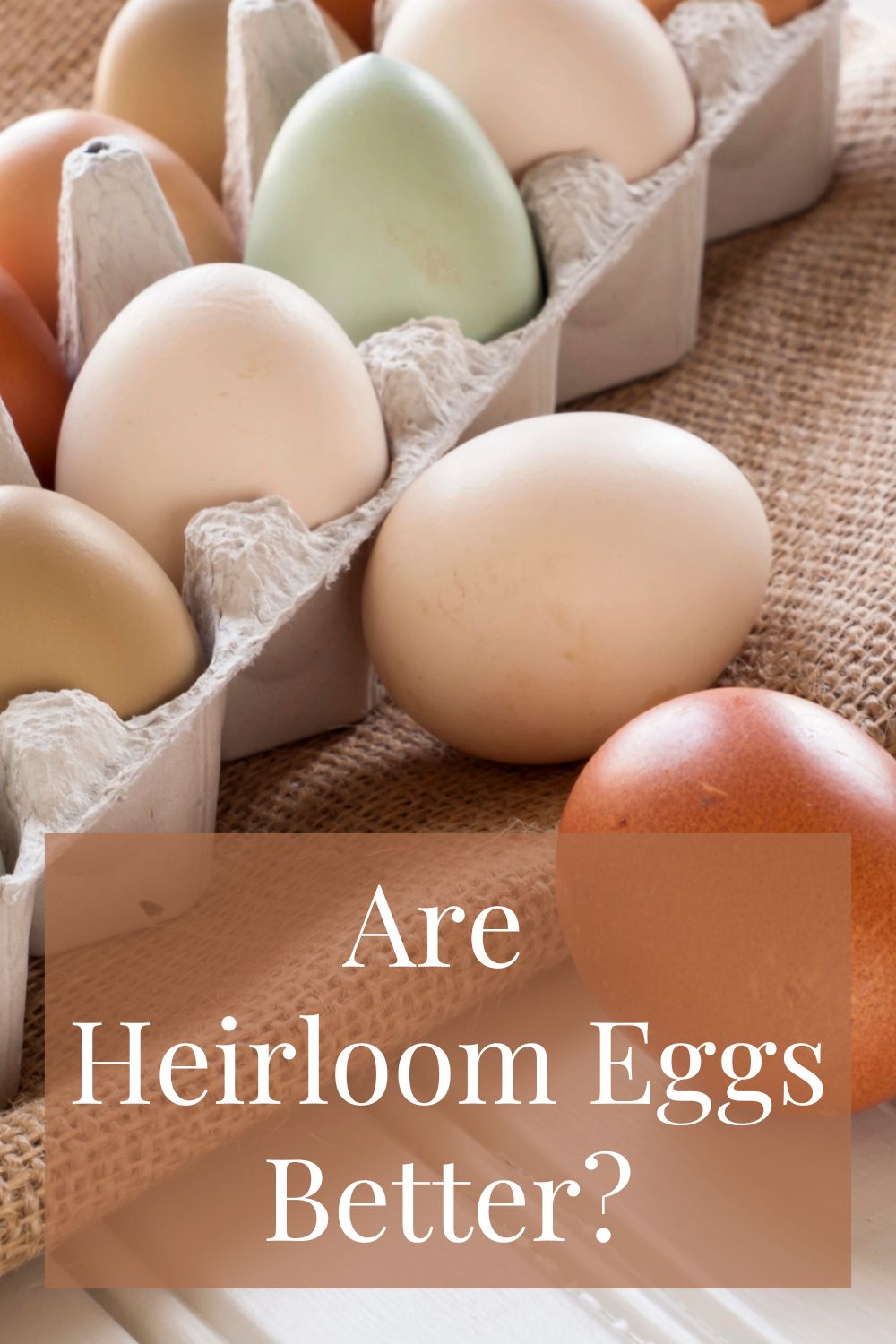Heirloom eggs graphic with the text, "Are Heirloom Eggs Better?"